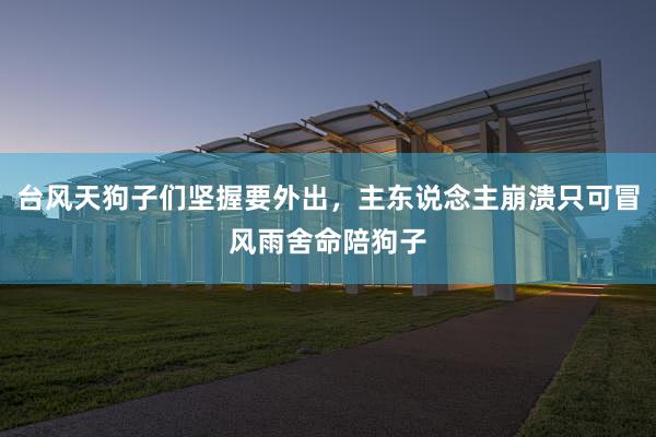 台风天狗子们坚握要外出，主东说念主崩溃只可冒风雨舍命陪狗子